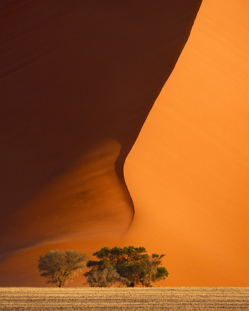 Namib-Naukluft National Park, Namibia