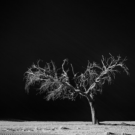 Namib-Naukluft National Park, Namibia
